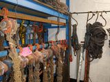 a lot of clumps hanging on a rack in a room