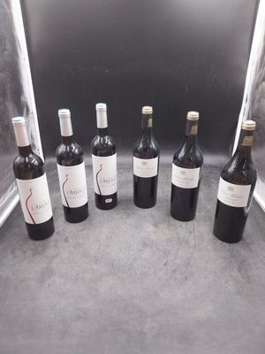 Plusieurs bouteilles de vin sont alignées en rang sur le sol