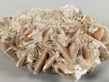 a piece of rock that has some kind of stuff on it
