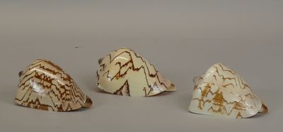 three pieces of white and brown marble on a gray surface