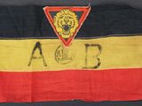 a close up of a flag with a lion on it