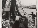 black and white photograph of a group of people on a boat in the water