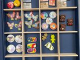a shadow box with a variety of magnets in it