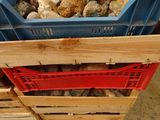une caisse remplie de pierres, posée sur une palette