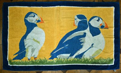 deux oiseaux posés sur un tapis posé à même le sol