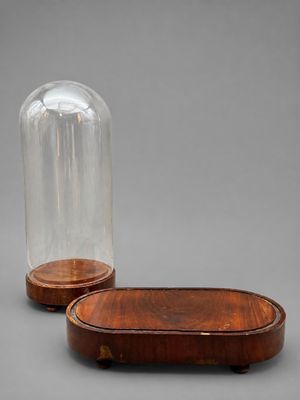 une paire de cloches en verre avec des socles en bois
