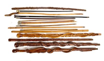 many different types of canes on a white surface
