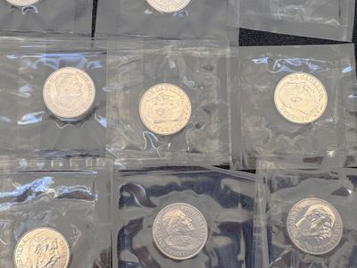 six types différents de pièces d'argent dans des sachets en plastique posés sur une surface noire