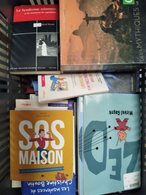 Lot de 15 MULTIPLES ÉDITEURS - Livres d'occasion - Thématiqu…