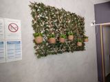 a wall with plants growing on it and a no parking sign on the wall