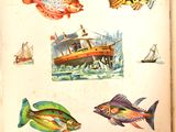 un livre contenant des images de différents types de poissons