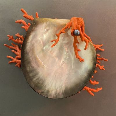 une pieuvre orange posée sur un morceau de coquillage