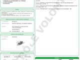 a green and white document with a picture of a plant