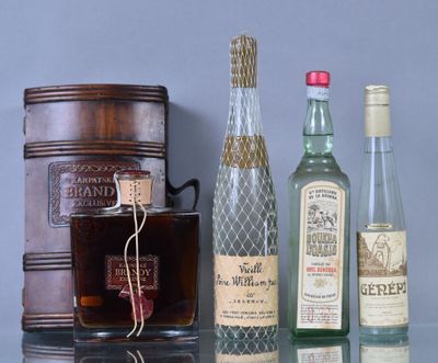 several bottles of alcohol are lined up on a glass table