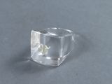 un anneau en verre transparent renfermant une fleur