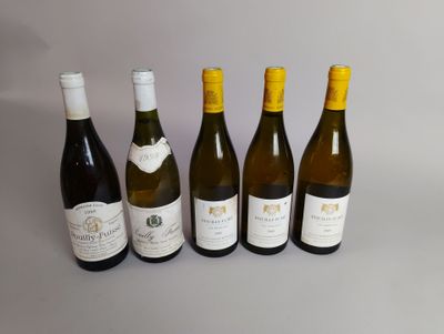 six bouteilles de vin sont alignées sur une table