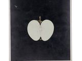 framed photograph of an apple cut in half on a black background