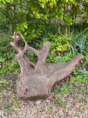 a tree trunk that is sitting in the middle of a garden