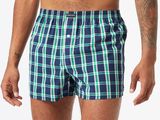 a man wearing a blue and green plaid boxer shorts