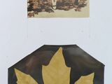 a picture of a leaf and a picture of a man in a pile of leaves