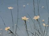 a painting of a bunch of white flowers in a field