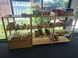 a display case filled with various items in front of a window