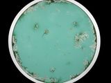une photo d'une assiette verte sur laquelle figure une horloge