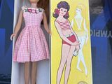 a doll that is in a box on a table