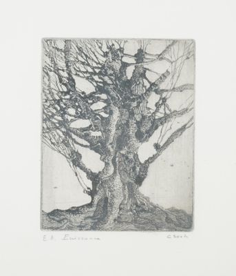 une image représentant un dessin d'un arbre sans feuilles