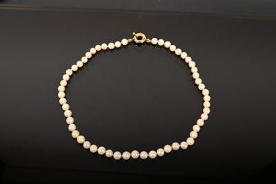 Collier de 56 perles de culture montées en choker, fermoir o…