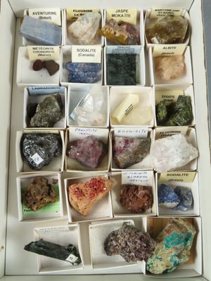 une boîte remplie de différentes sortes de roches et de minéraux