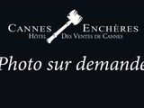 Photo 1/1 du lot