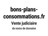 Photo 1/1 du lot
