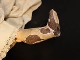 a piece of cloth on the table with a broken bone