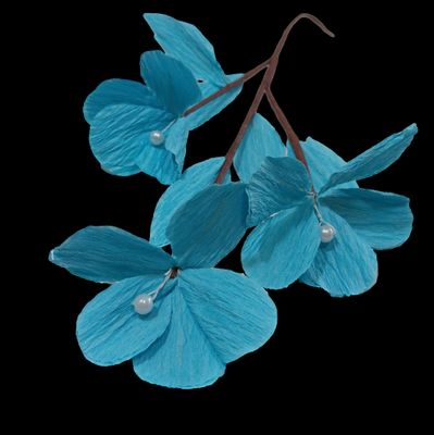a close up of some blue flowers on a black background