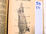 un livre ouvert sur lequel est dessiné un chat
