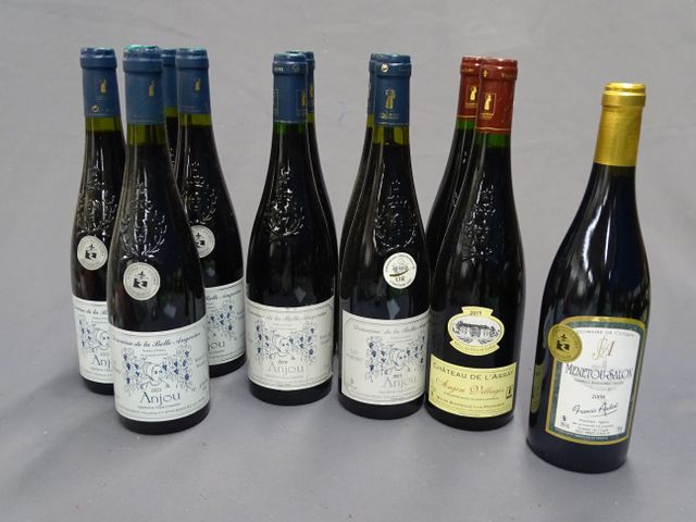 Anjou rouge : DOMAINE DE LA BELLE ANGEVINE, 4 bouteilles de 2003,...