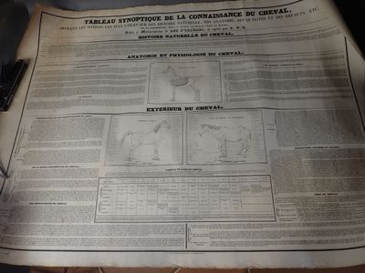 Des journaux sont posés sur une table, à côté d'un stylo et d'une calculatrice