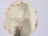 a small doll with a hairbrush in it ' s mouth
