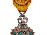 l'image d'une médaille surmontée d'une étoile