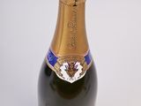 an image of a bottle of champagne on a white background