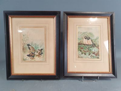 deux photos encadrées représentant des oiseaux sur une branche et un oiseau sur une branche