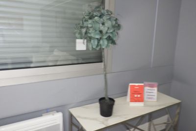 une petite table sur laquelle se trouve une plante en pot, devant une fenêtre