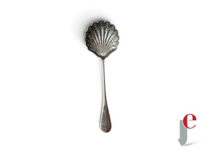 une cuillère ornée d'un coquillage, posée sur une surface blanche