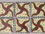 six red and yellow starfishs sitting on top of a white surface
