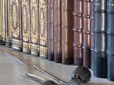 de nombreux livres sur une étagère, à côté d'une pince