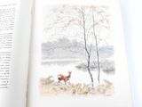 a picture of an open book with a picture of a deer in it