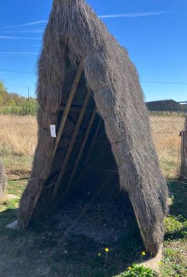 une petite cabane en foin au milieu d'un champ