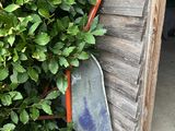 une brouette appuyée contre un mur, à côté d'un buisson