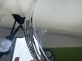 a bird that is sitting in a glass vase